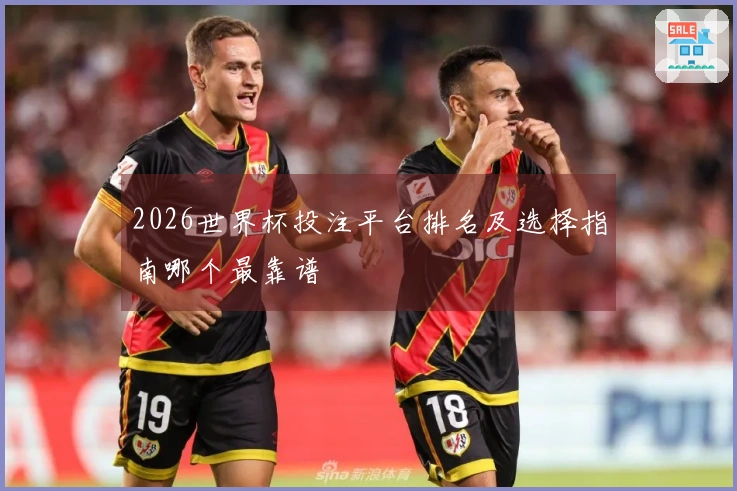 2026世界杯投注平台排名及选择指南哪个最靠谱