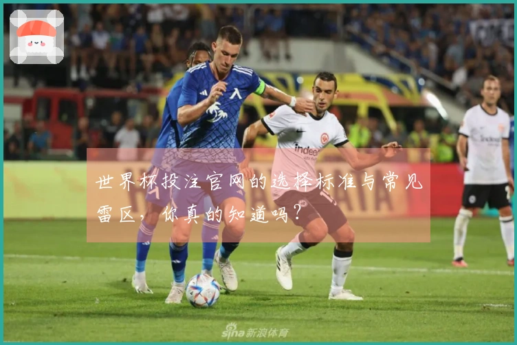 世界杯投注官网的选择标准与常见雷区,你真的知道吗?