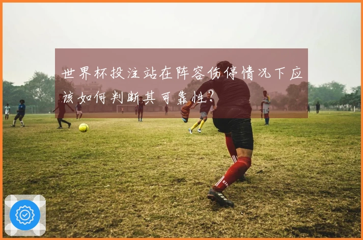 世界杯投注站在阵容伤停情况下应该如何判断其可靠性？