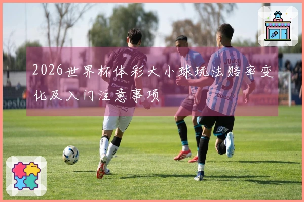 2026世界杯体彩大小球玩法赔率变化及入门注意事项
